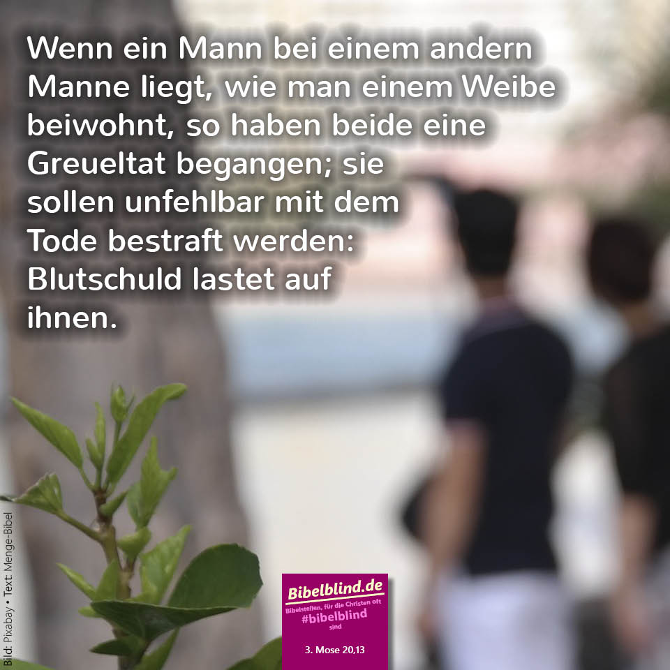 #bibelblind Meme Nr. 2008: Mose 20,13